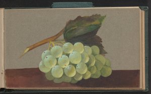 Une grappe de raisins - Unknown artist