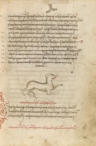 Un chien - Unknown artist