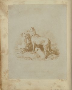 [Un groupe de cinq chiens] - Unknown artist