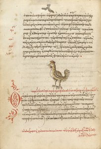 Une poule - Unknown artist