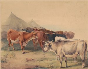 Un troupeau de bovins - Unknown artist