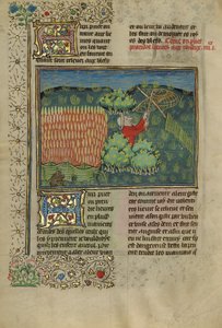 Un chasseur qui capture des lièvres