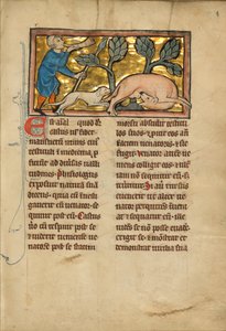 Un chasseur et un castor