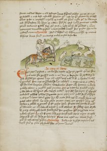 Un chasseur à cheval chassant le lièvre - Unknown artist