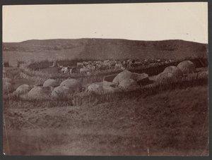 A Kraal, Zulu Land - Unknown artist