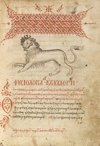 Un lion - Unknown artist