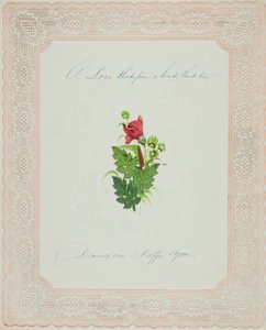 Un amour ferme (valentin) - Unknown artist