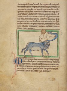A Monocentaure