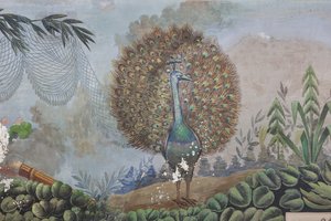 Un paon (détail)