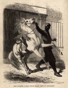 Un spahi sénégalais (cavalier) à Saint-Louis (Saint Louis). Gravure pour illustrer une croisière sur la côte d