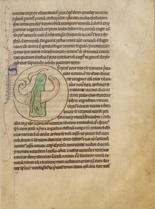 Un serpent - Unknown artist