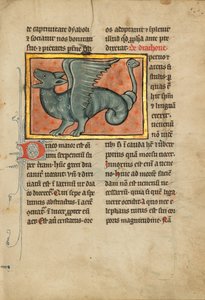 Un dragon ailé - Unknown artist