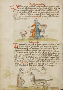Une femme avec un vase et une poule ; un singe instruisant un renard et un loup - Unknown artist