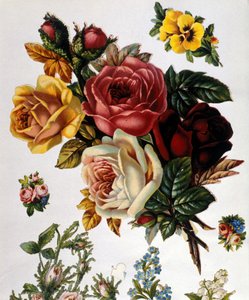 Un bouquet de roses. Chromolithographie du 19ème siècle.