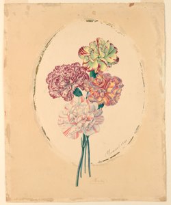 Un bouquet de quatre œillets - Unknown artist