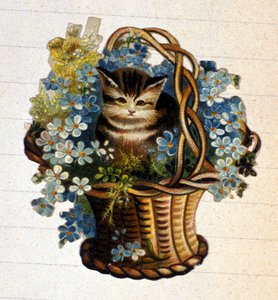 Un chat dans un panier de fleurs. Chromolithographie du 19ème siècle