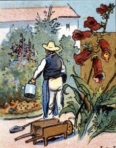 Un jardinier, chromolithographie - Unknown artist
