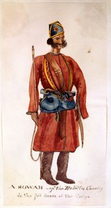 Un sowar de la cavalerie Rohilla