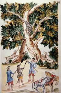 Un chat sauvage perché sur un arbre, des chasseurs l