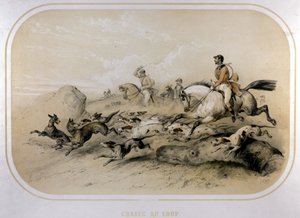 Une chasse au loup. Gravure du 19ème siècle. - Unknown artist