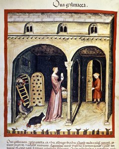 Une jeune femme ramasse des œufs de poule. Enluminure du « Tacuinum sanitatis » - Unknown artist