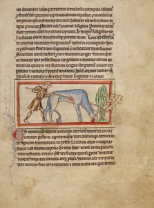 Une antilope - Unknown artist