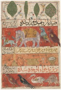 Animaux, oiseaux et plantes (verso) de Mu