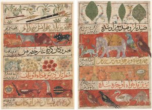 Animaux, pierres précieuses, pièces de monnaie et instruments de musique (recto); Animaux, oiseaux et plantes (verso) du Mu