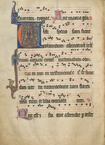 Antiphoniques - Unknown artist