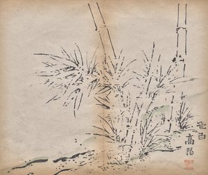 Bambou - Unknown artist