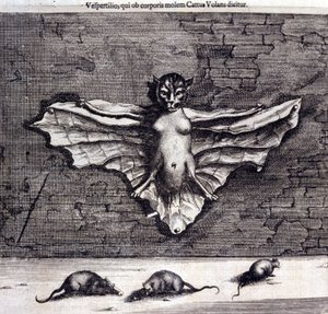 Chauves-souris et rats. « De China Monumenta » par Athanasius Kircher - Unknown artist