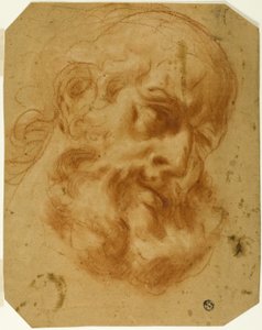 Tête Barbu - Unknown artist