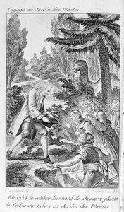 Bernard de Jussieu, botaniste français (1699-1777) plante un cèdre du Liban dans le jardin des plantes à Paris - Unknown artist