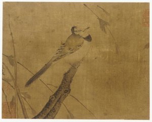 Oiseau sur une branche sans feuilles