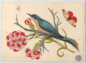 Oiseau bleu sur une branche avec des œillets et des insectes - Unknown artist