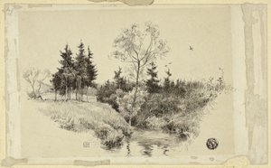 Ruisseau dans la forêt