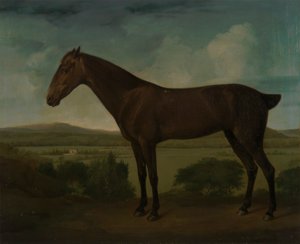 Cheval brun dans un paysage vallonné - Unknown artist