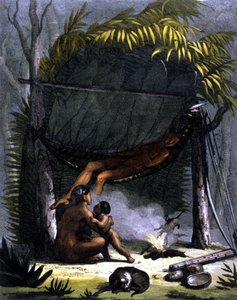 Cabane des Puris au Brésil - dans « Le costume ancien et moderne » de Ferrario, éd. Milan - Unknown artist