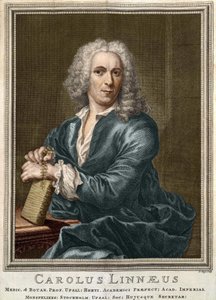 Carl Von Linné naturaliste et écrivain suédois (1707 - 1778) - Unknown artist