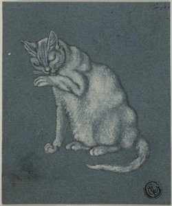 Chat léchant sa patte - Unknown artist