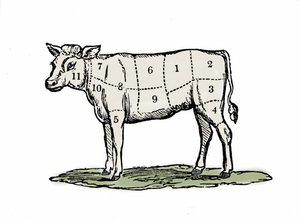 Serrage du veau