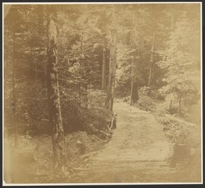 [Route de Corduroy sur le chemin de Harper