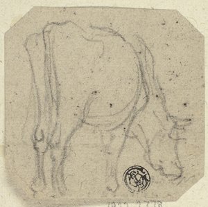 Pâturage des vaches