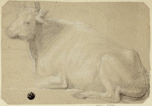 Vache couchée sur les fesses