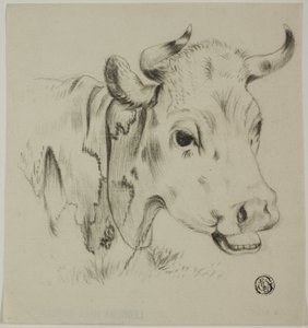 Tête de vache - Unknown artist