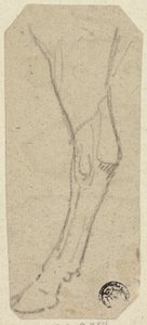Jambe de vache - Unknown artist