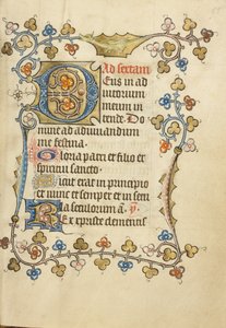 Initiale "D" décorée - Unknown artist