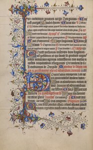 Initiale D décorée - Unknown artist