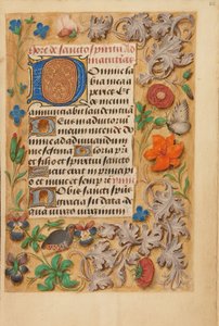 Initiale D décorée - Unknown artist