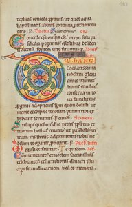 Initiale D décorée - Unknown artist